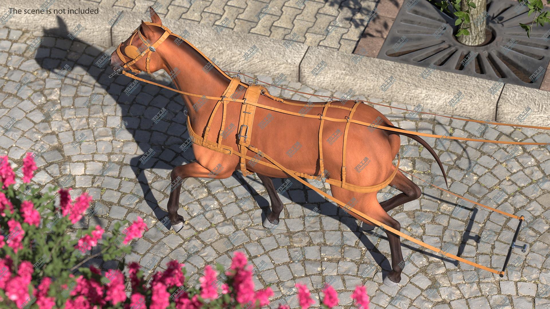 images/goods_img/202104093/3D model Horse Drawn Leather Harness Walking Pose/5.jpg